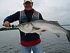 Fat June Newburyport Striped Bass