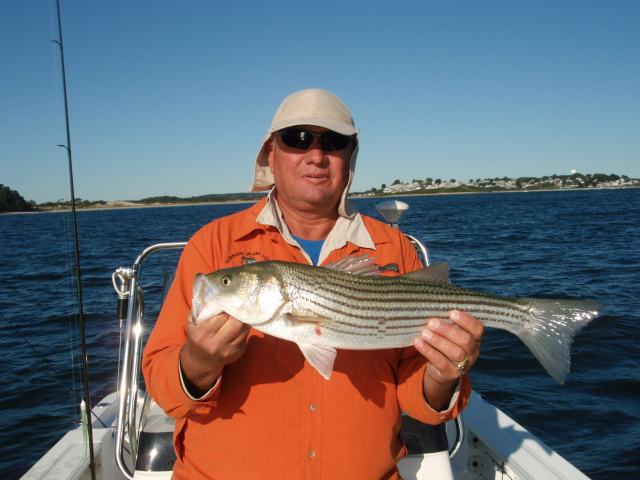 Crane Beach Striped Bass