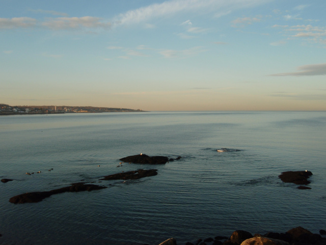 Cape Ann striped bass waters