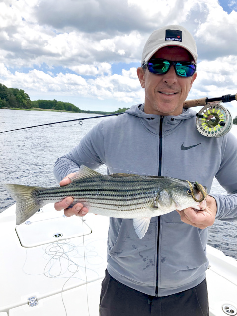 Dustin's striped bass