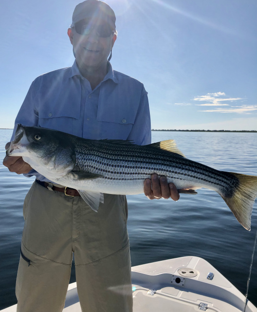 Newburyport Striped Bass Guides