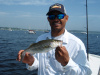 MerrimackRiver Light Tackle Guide