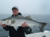 Plum Island charter