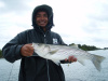 Plum Island Sound striped bass