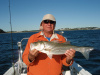 Crane Beach Striped Bass